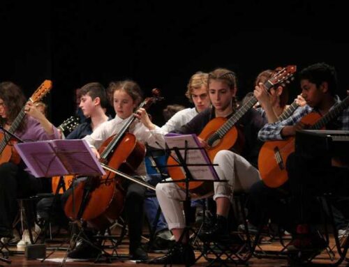 Lezioni di Chitarra e Pianoforte a Gallarate (Varese)