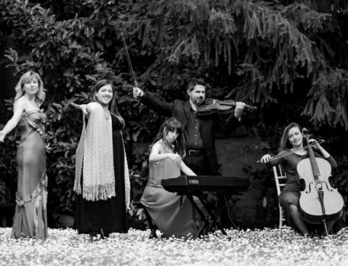 Musica per cerimonia in provincia di Novara