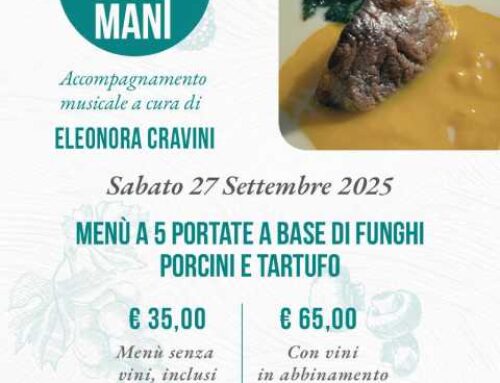 Cena con Musica dal vivo in provincia di Novara